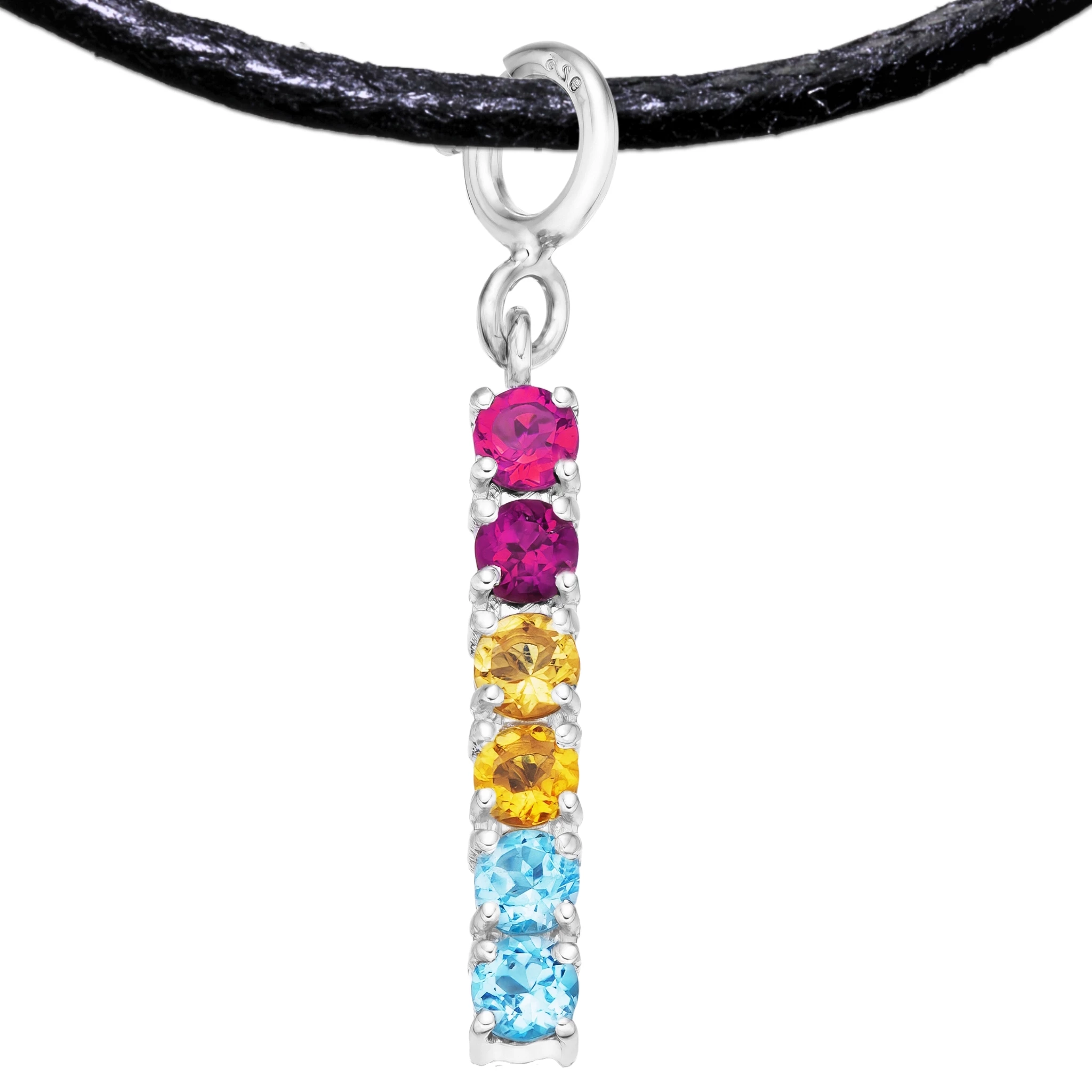 Pansexual 925 Sterling Silver Charm Flag Necklace with Spring Clasp (Platinum Plated) – 6 Gems