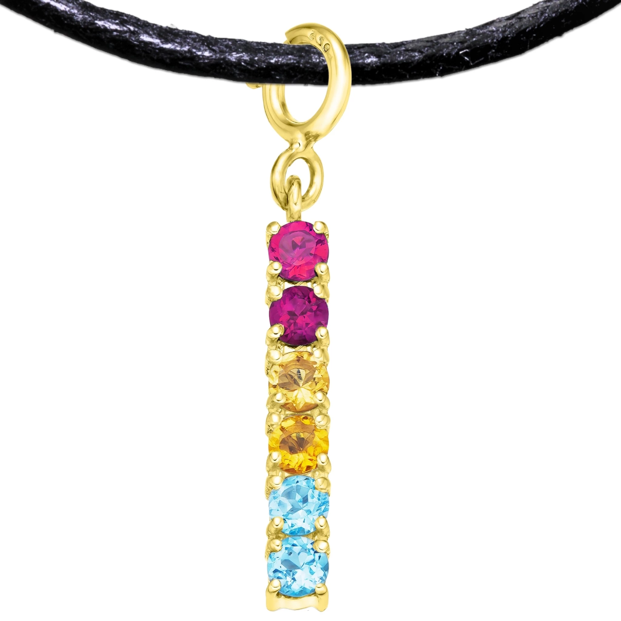 Pansexual 925 Sterling Silver Charm Flag Necklace with Spring Clasp (Gold Plated) – 6 Gems