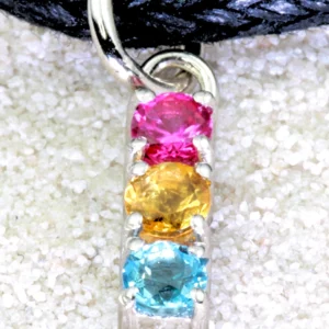 Pansexual 925 Sterling Silver Charm Flag Necklace with Ring Eye (Platinum Plated) – 3 Gems