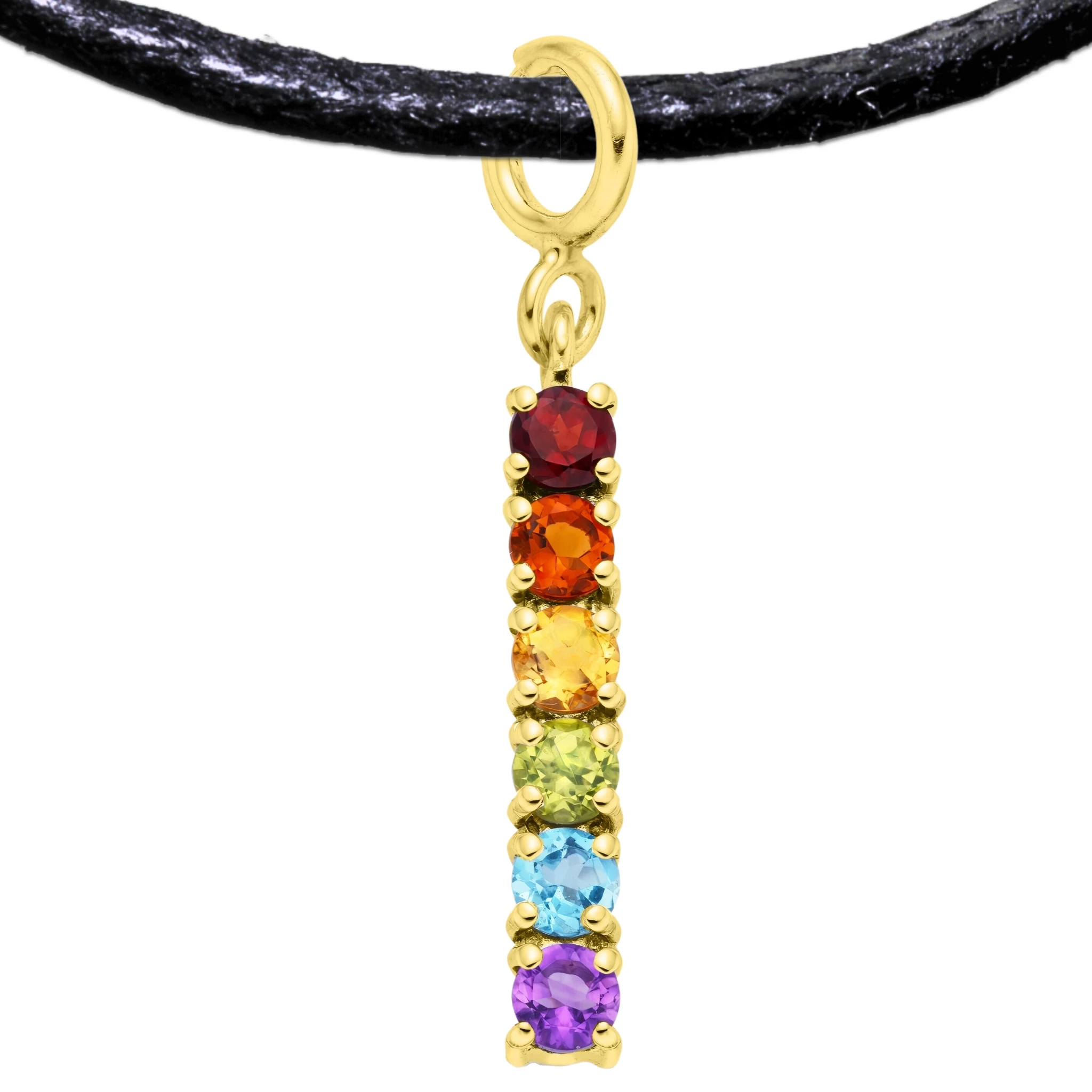 LGBTQ+ 925 Sterling Silver Charm Flag Necklace with Spring Clasp (Gold Plated) – 6 Gems