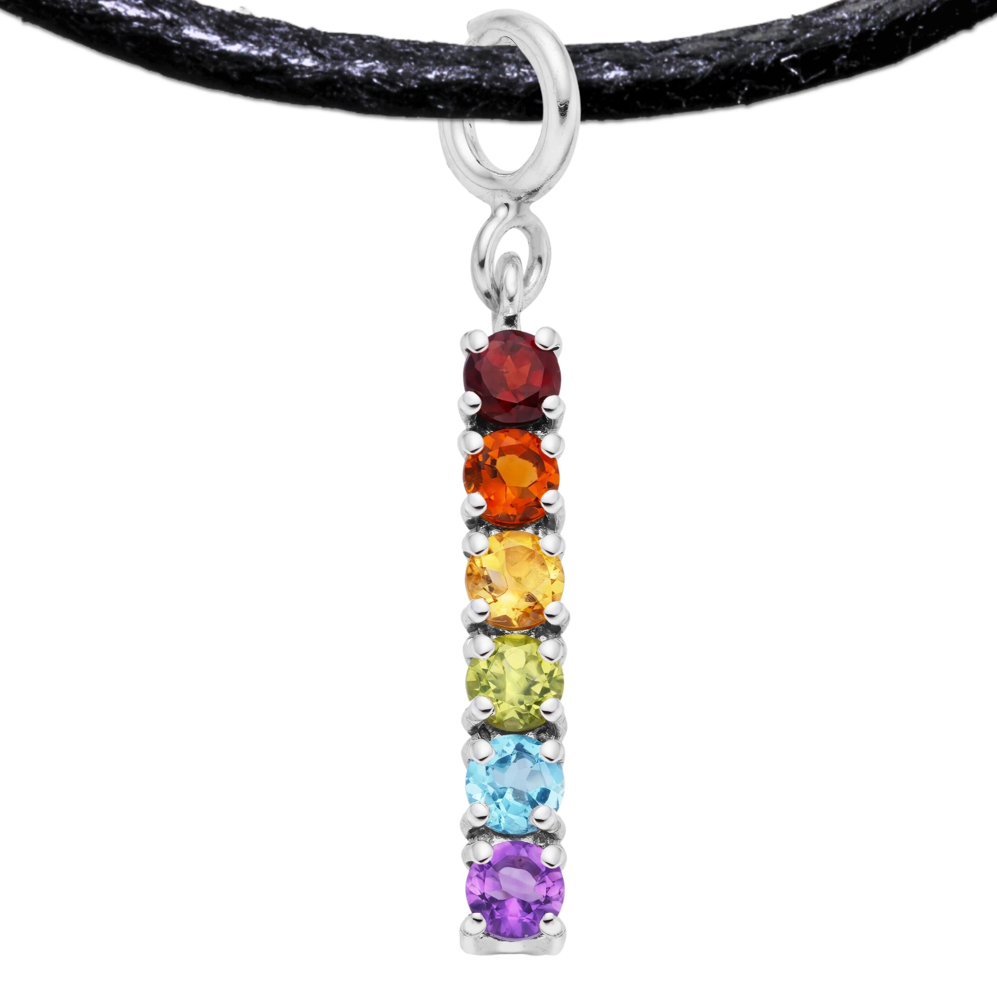 LGBTQ+ 925 Sterling Silver Charm Flag Necklace with Spring Clasp (Platinum Plated) – 6 Gems